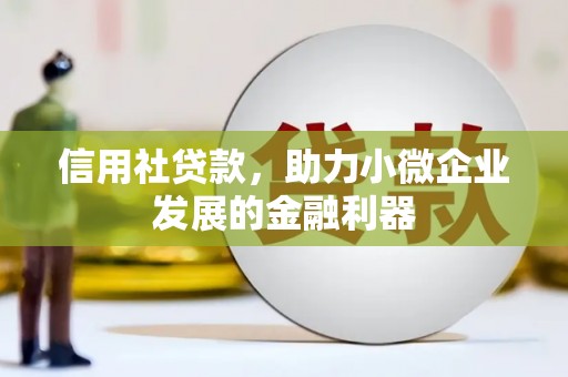 邵东信用社贷款，助力小微企业发展的金融利器