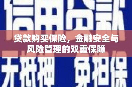 邵东贷款购买保险，金融安全与风险管理的双重保障