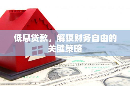 邵东低息贷款，解锁财务自由的关键策略