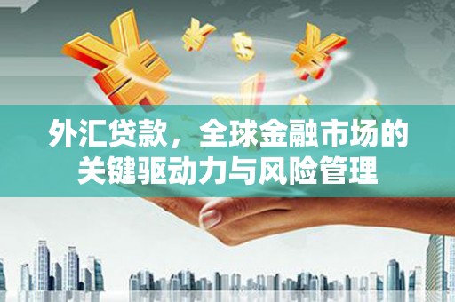 邵东外汇贷款，全球金融市场的关键驱动力与风险管理