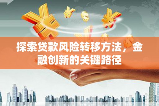 邵东探索贷款风险转移方法，金融创新的关键路径