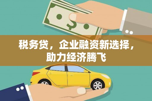 邵东税务贷，企业融资新选择，助力经济腾飞