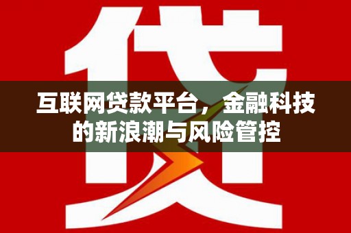 邵东互联网贷款平台，金融科技的新浪潮与风险管控
