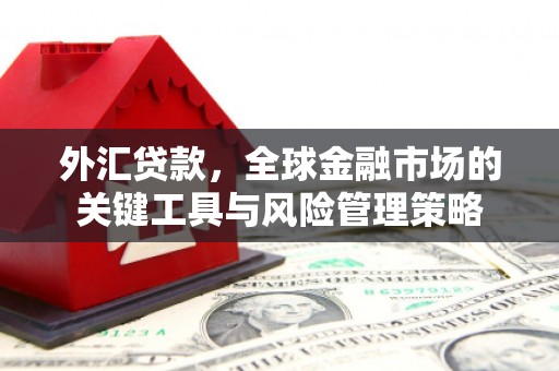 邵东外汇贷款，全球金融市场的关键工具与风险管理策略