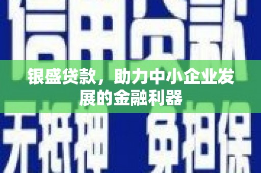 邵东银盛贷款，助力中小企业发展的金融利器