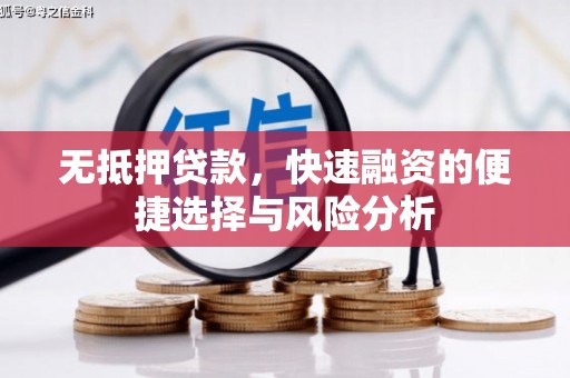 邵东无抵押贷款，快速融资的便捷选择与风险分析