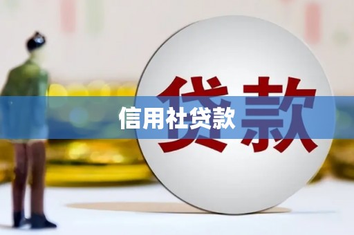 邵东信用社贷款