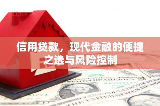 邵东信用贷款，现代金融的便捷之选与风险控制