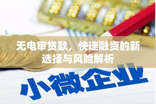 邵东无电审贷款，快速融资的新选择与风险解析