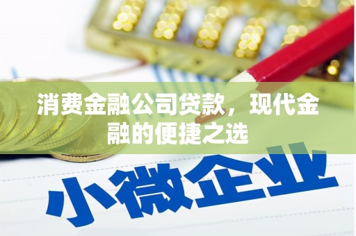 邵东消费金融公司贷款，现代金融的便捷之选