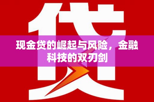 邵东现金贷的崛起与风险，金融科技的双刃剑