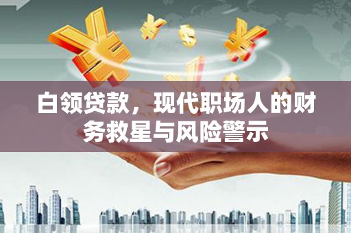 邵东白领贷款，现代职场人的财务救星与风险警示