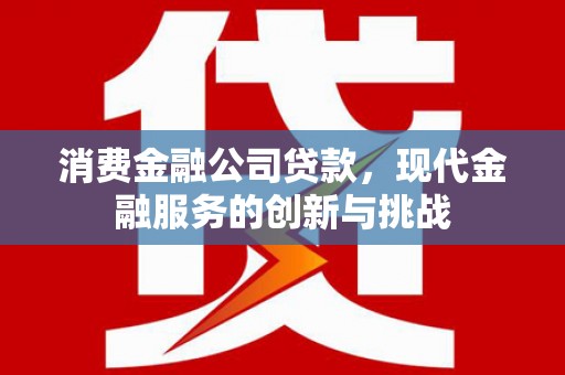 邵东消费金融公司贷款，现代金融服务的创新与挑战