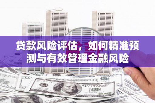 邵东贷款风险评估，如何精准预测与有效管理金融风险