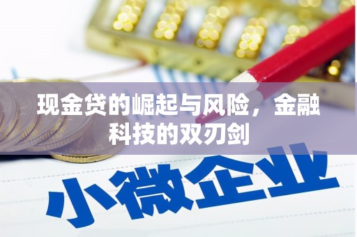 邵东现金贷的崛起与风险，金融科技的双刃剑