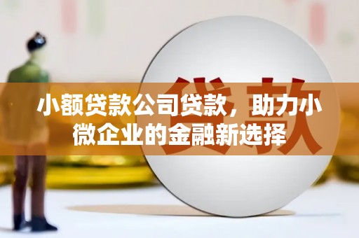 邵东小额贷款公司贷款，助力小微企业的金融新选择