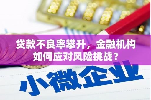 邵东贷款不良率攀升，金融机构如何应对风险挑战？