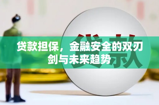 邵东贷款担保，金融安全的双刃剑与未来趋势