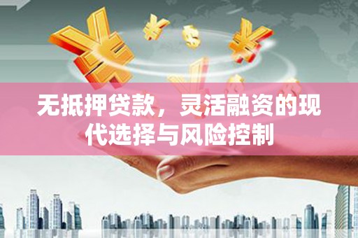 邵东无抵押贷款，灵活融资的现代选择与风险控制