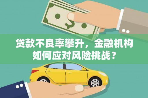 邵东贷款不良率攀升，金融机构如何应对风险挑战？