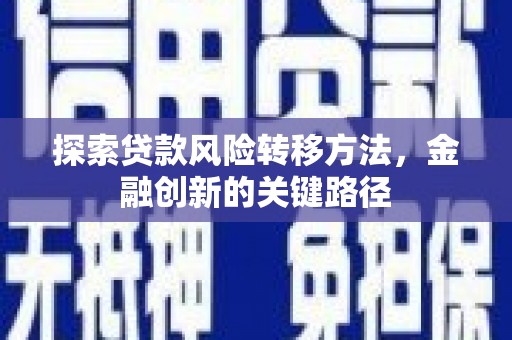 邵东探索贷款风险转移方法，金融创新的关键路径