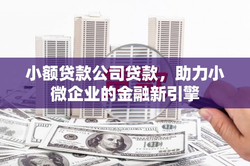 邵东小额贷款公司贷款，助力小微企业的金融新引擎
