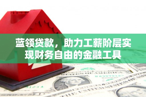 邵东蓝领贷款，助力工薪阶层实现财务自由的金融工具