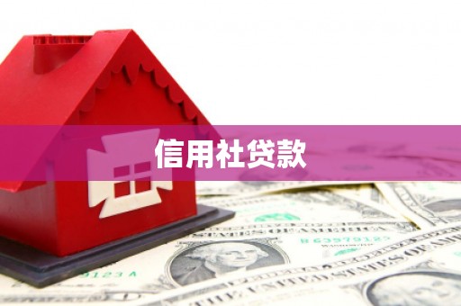 邵东信用社贷款