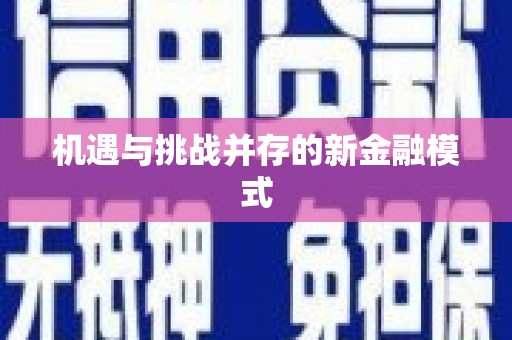 邵东机遇与挑战并存的新金融模式