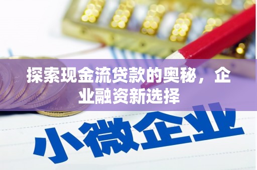 邵东探索现金流贷款的奥秘，企业融资新选择