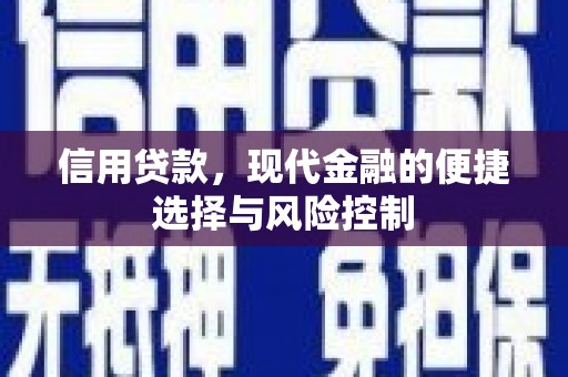 邵东信用贷款，现代金融的便捷选择与风险控制