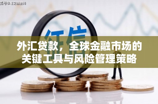 邵东外汇贷款，全球金融市场的关键工具与风险管理策略