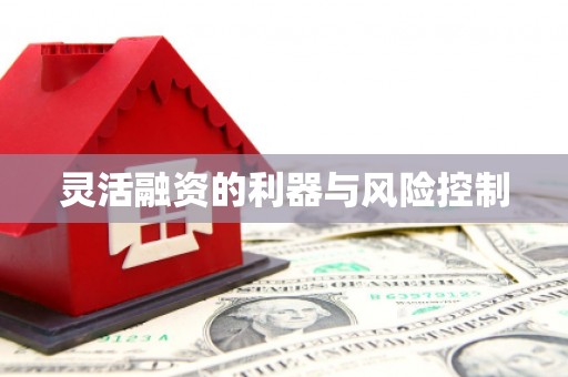 邵东灵活融资的利器与风险控制