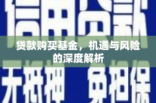邵东贷款购买基金，机遇与风险的深度解析