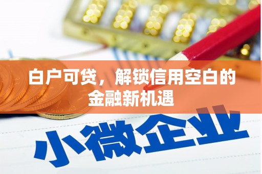 邵东白户可贷，解锁信用空白的金融新机遇
