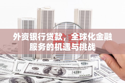 邵东外资银行贷款，全球化金融服务的机遇与挑战