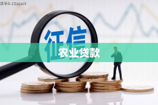 邵东农业贷款