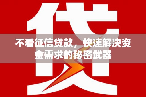 邵东不看征信贷款，快速解决资金需求的秘密武器