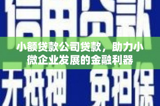 邵东小额贷款公司贷款，助力小微企业发展的金融利器