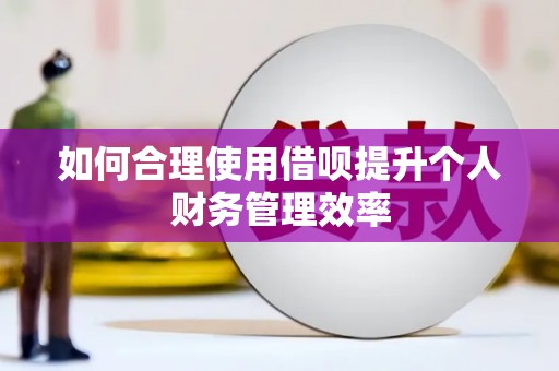 邵东如何合理使用借呗提升个人财务管理效率