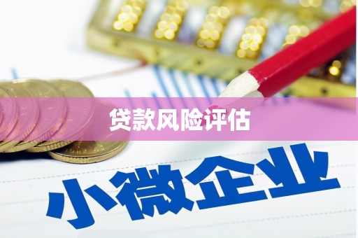邵东贷款风险评估