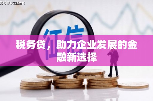 邵东税务贷，助力企业发展的金融新选择