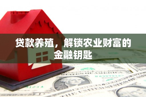 邵东贷款养殖，解锁农业财富的金融钥匙