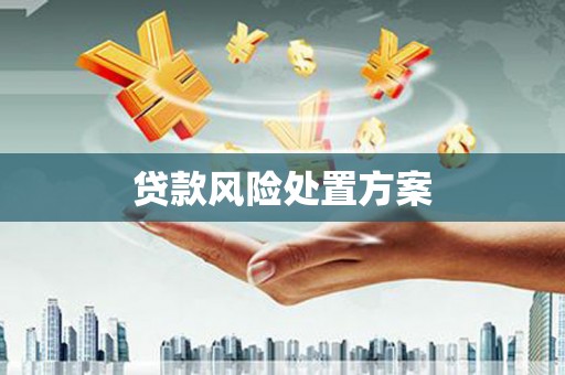 邵东贷款风险处置方案