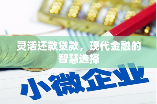 邵东灵活还款贷款，现代金融的智慧选择