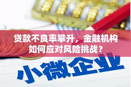 邵东贷款不良率攀升，金融机构如何应对风险挑战？
