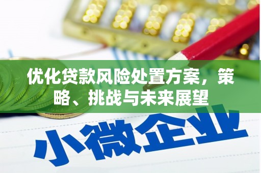 邵东优化贷款风险处置方案，策略、挑战与未来展望