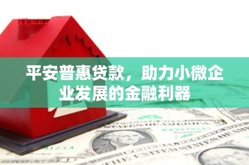 邵东平安普惠贷款，助力小微企业发展的金融利器