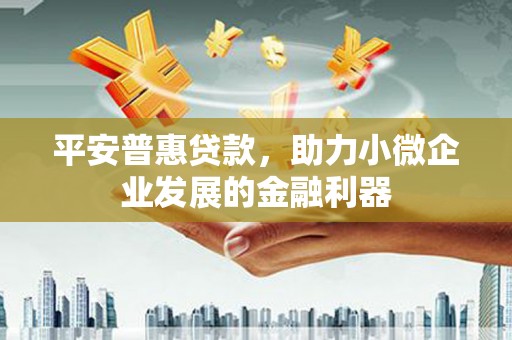 邵东平安普惠贷款，助力小微企业发展的金融利器