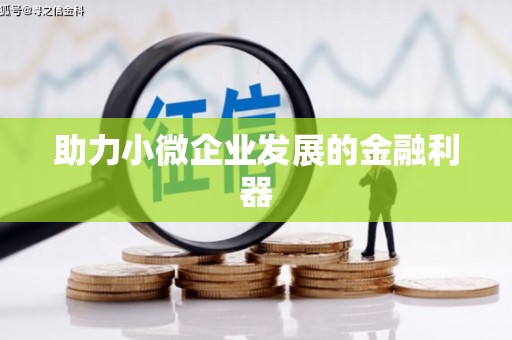 邵东助力小微企业发展的金融利器